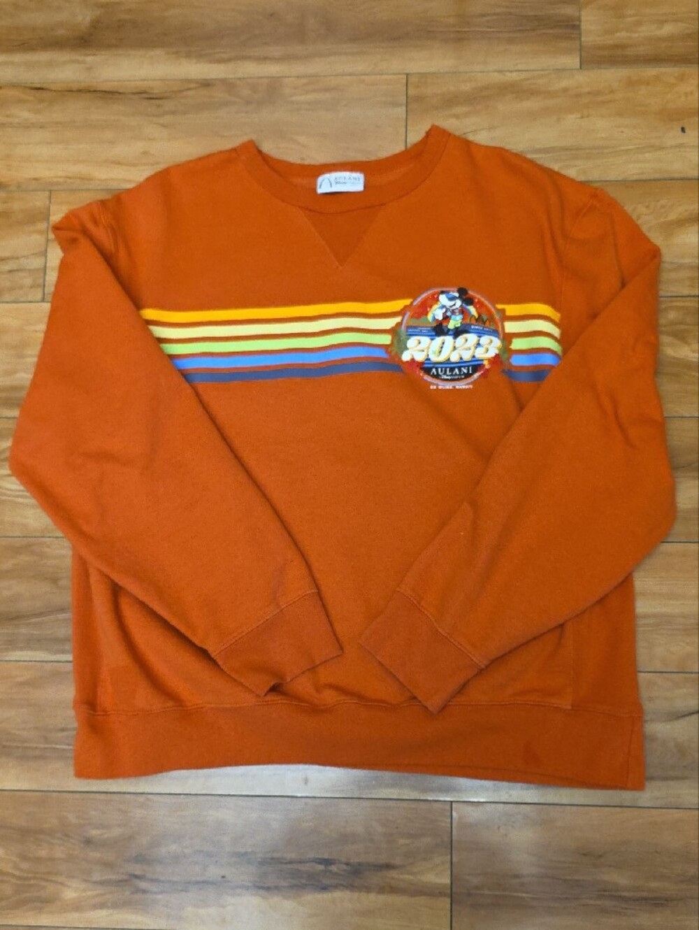 Disney Aulani Resort 2023 Mickey Mouse Rainbow Retro Sweatshirt Orange Size LG